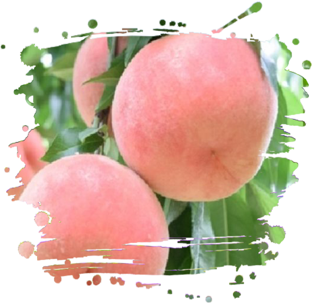 Fruit (700x700), Png Download