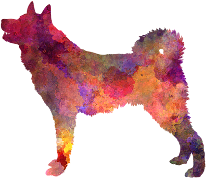 Bleed Area May Not Be Visible - Karelian Bear Dog Im Watercolor Rundes Keramik Ornament (600x480), Png Download