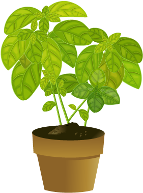 Selecting A Healthy Plant - Healthy Plant (450x400), Png Download