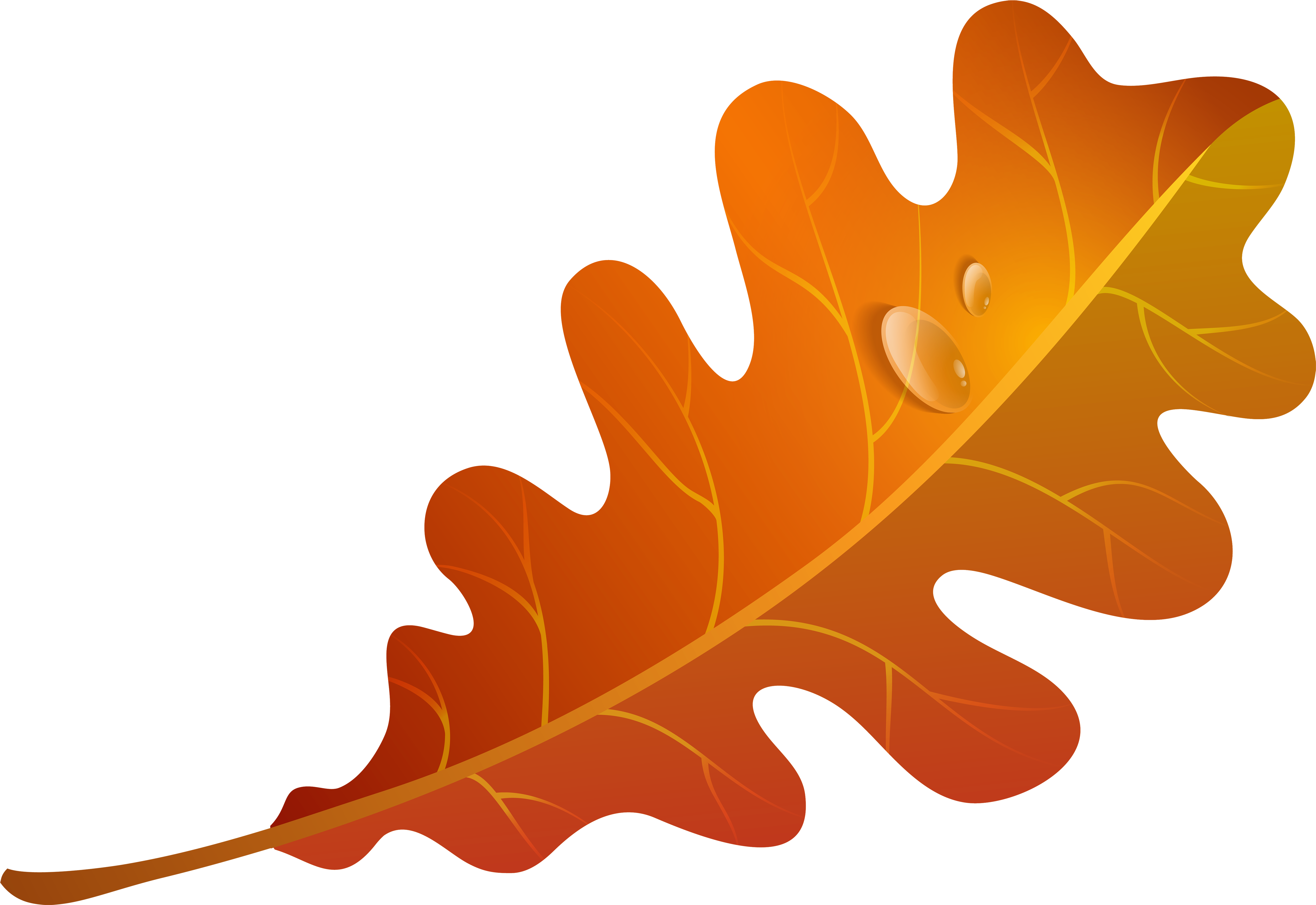 Clip - Autumn Leaf Clipart (5000x3439), Png Download