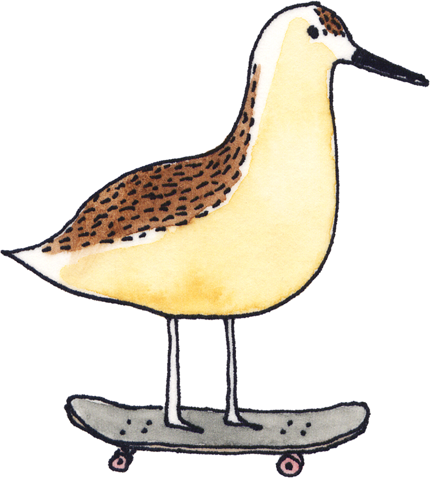 Skateboarding Sandpiper - Marc Johns Art (2048x2048), Png Download