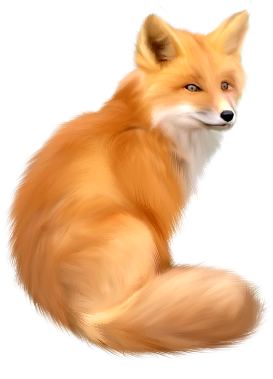 Free Png Fox Png Images Transparent - Fox Transparent Background (480x666), Png Download