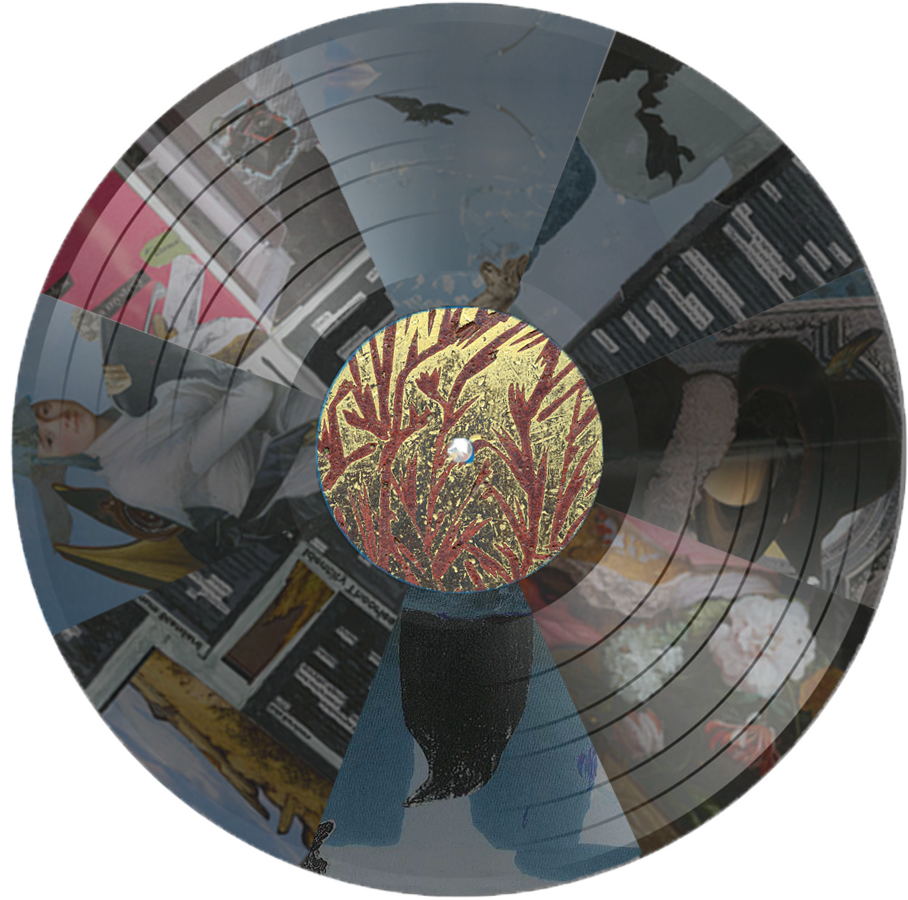 Crow Morphology - Circle (908x900), Png Download