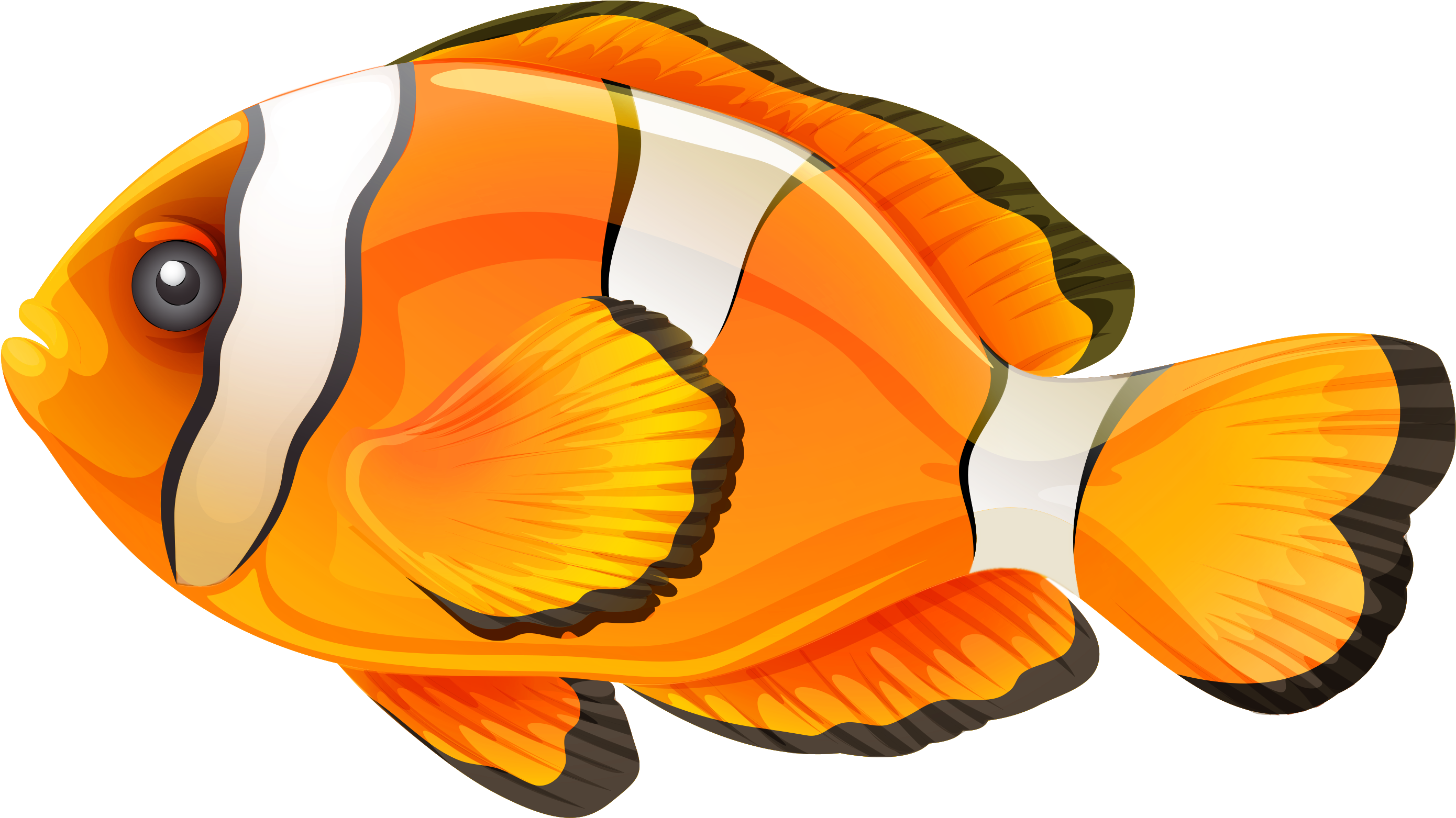 Clownfish Png Clipart - Fish Clip Art Png (2904x1697), Png Download