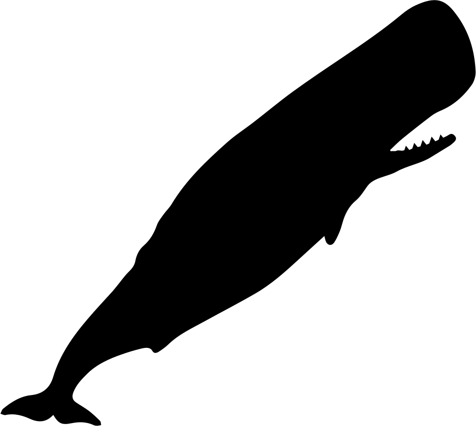Picture Black And White Tail Silhouette At Getdrawings - Whale Silhouette Top Png (981x878), Png Download