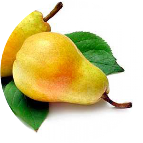 Pear Dushes - Williams Pear (1000x500), Png Download