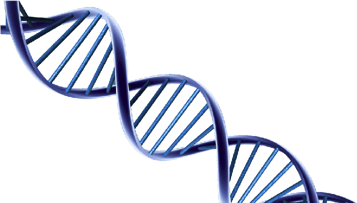 Psa Prostate Cancer Research (720x405), Png Download