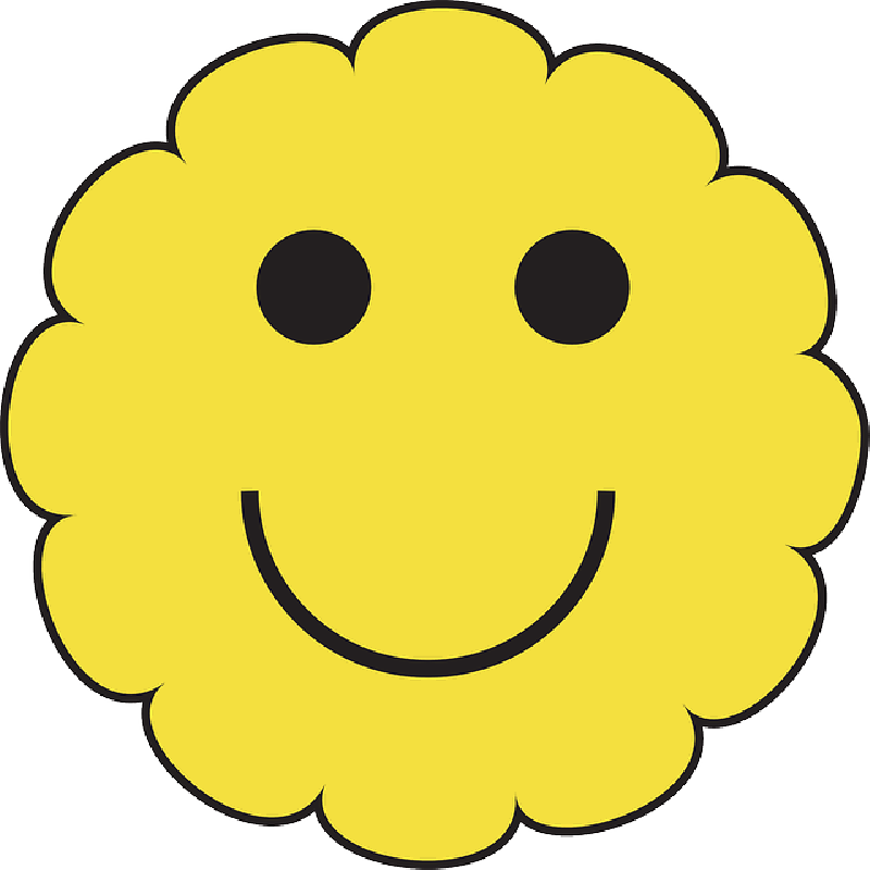 Mb Image/png - Cartoon Pics Happy Face (800x800), Png Download