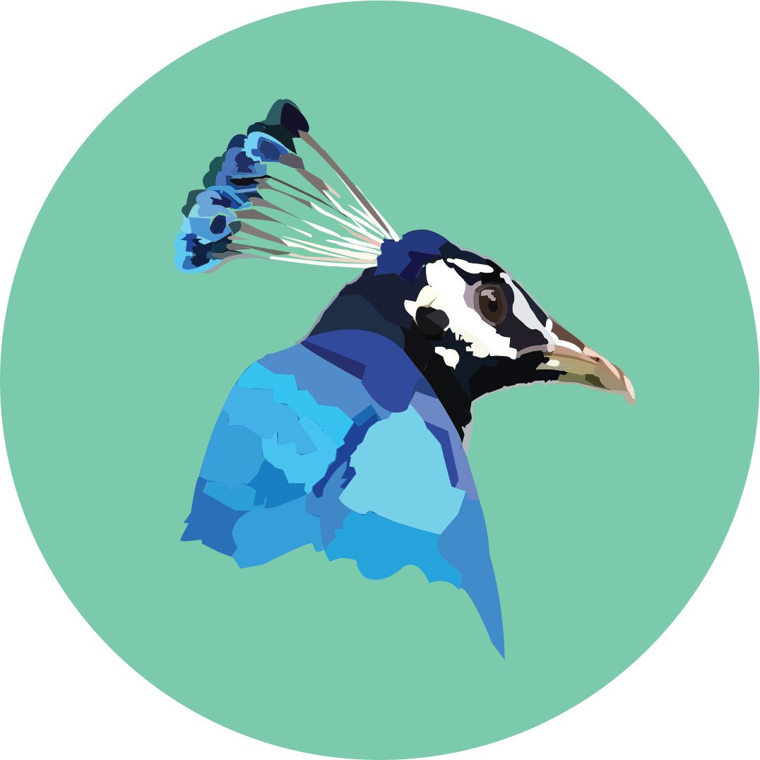 Portrait Of A Man (1076x1076), Png Download