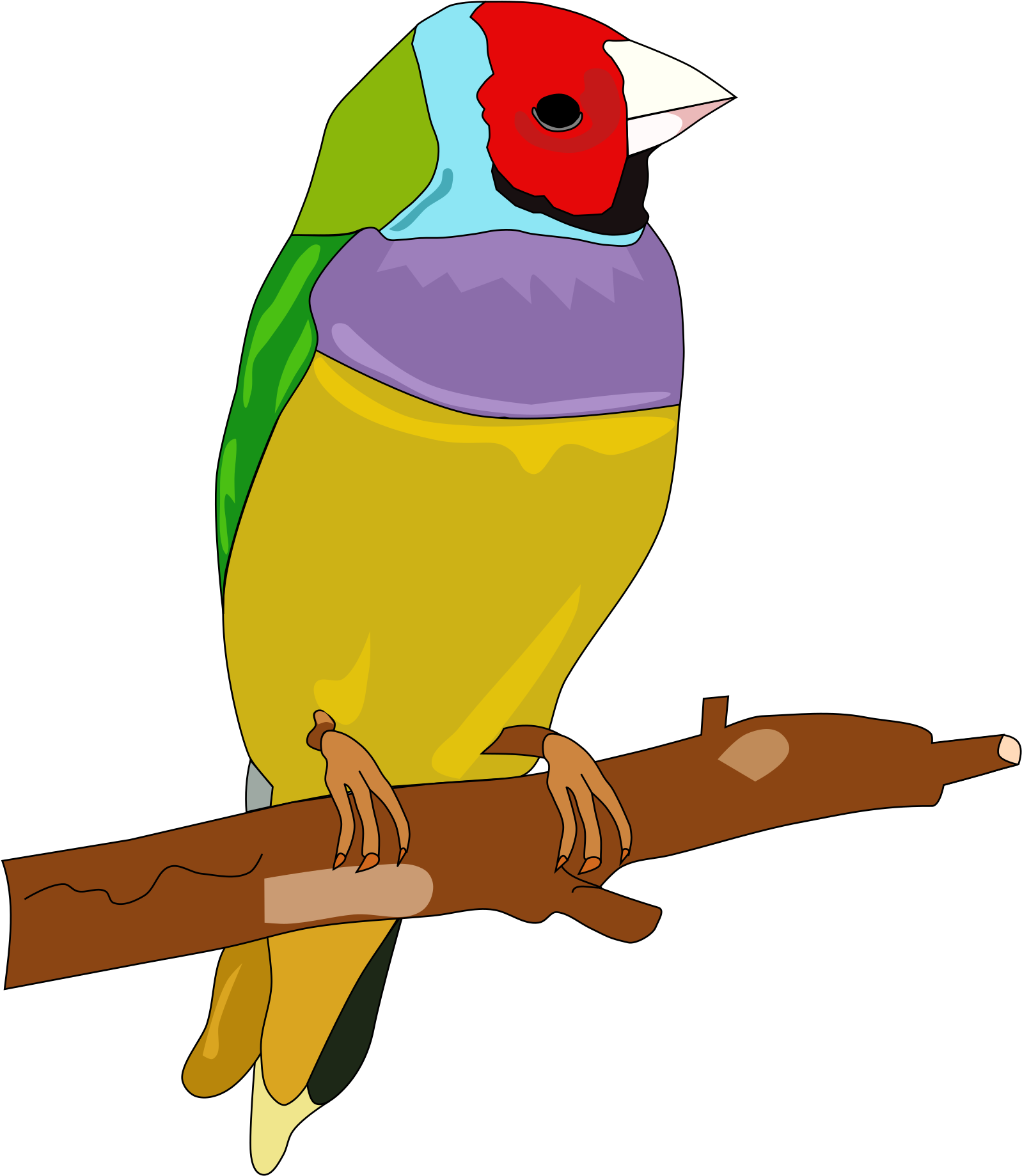 Parrot Toy Cliparts Free Download Clip Art Free Clip - Gambar Burung Warna Warni (1697x2400), Png Download