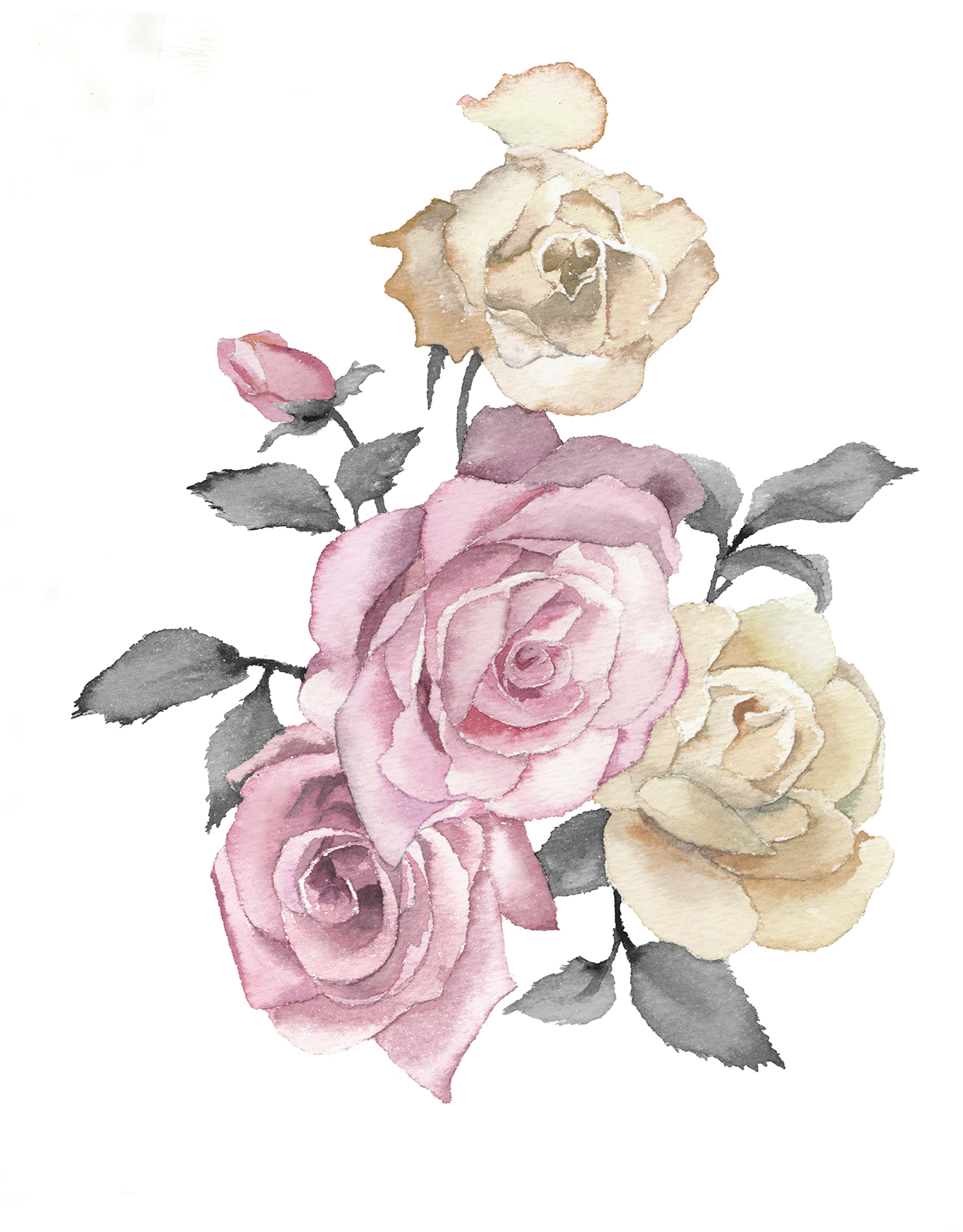 Sweetrain - Hybrid Tea Rose (1400x1750), Png Download