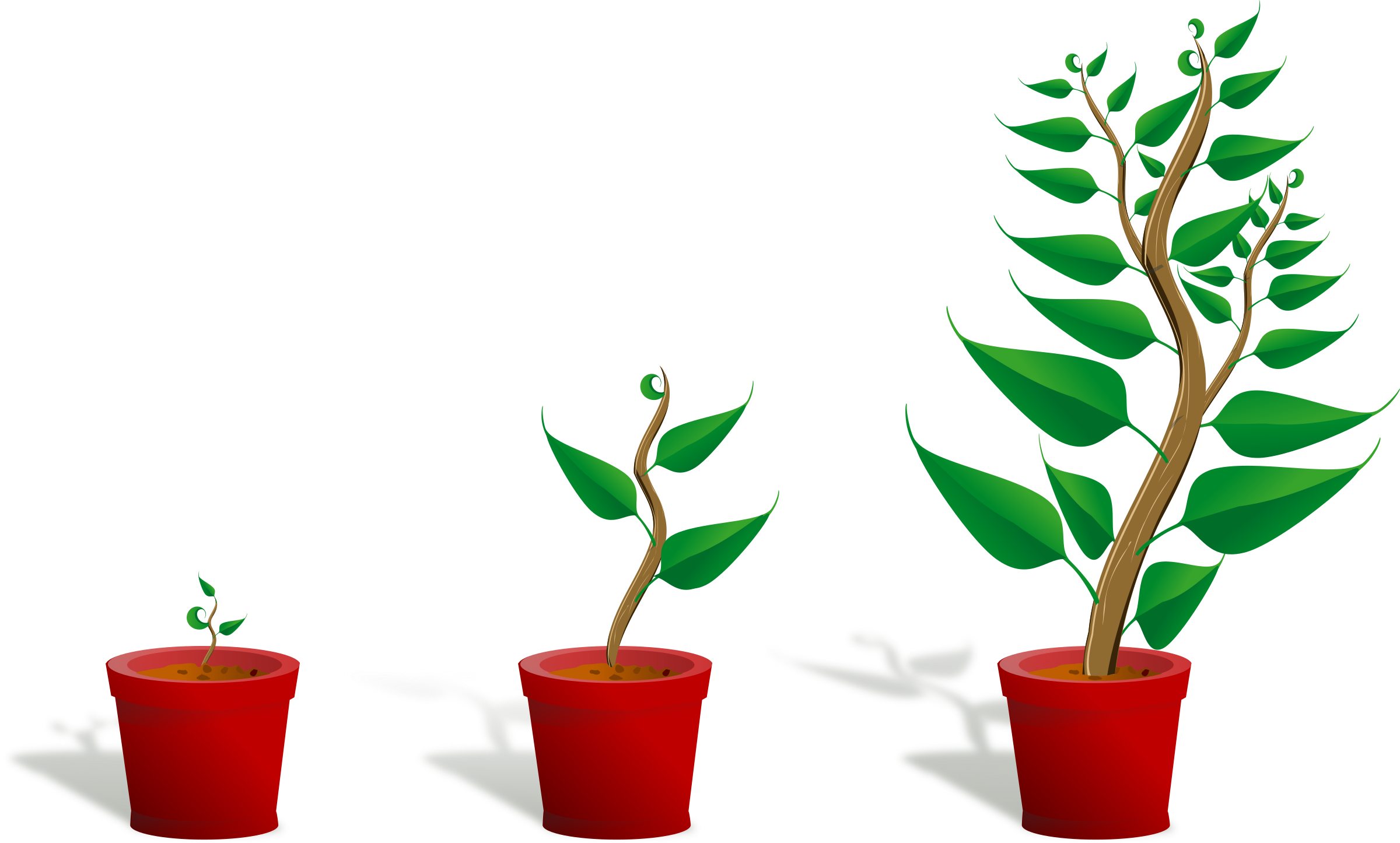Flower Growing Clipart (1280x771), Png Download