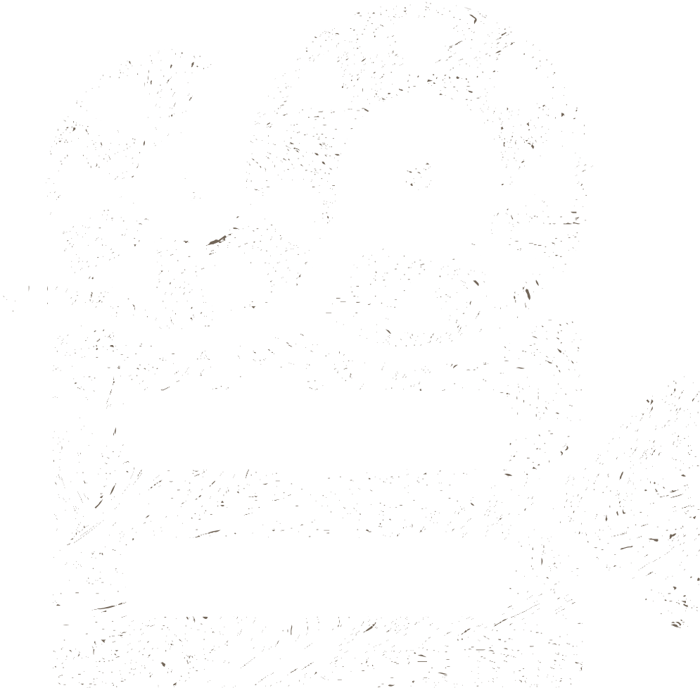 Circle (1024x1024), Png Download