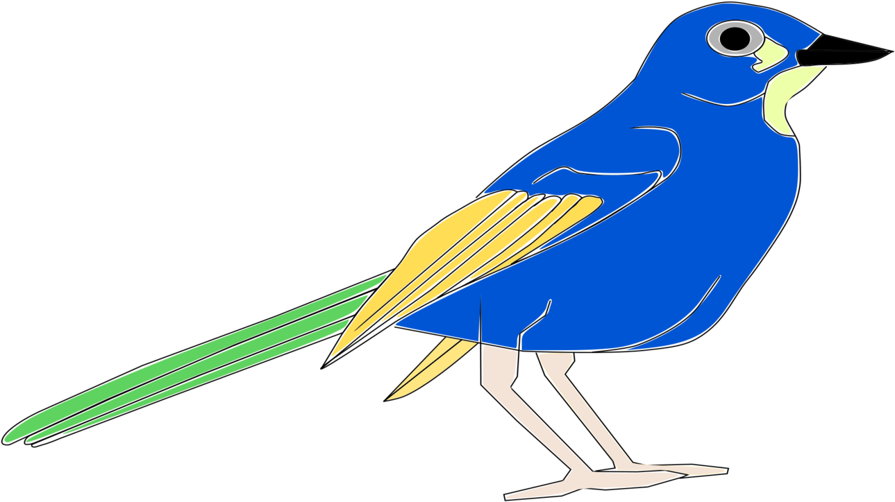 Bird Blue Jay Download - Pajaro Clip Art (1687x750), Png Download