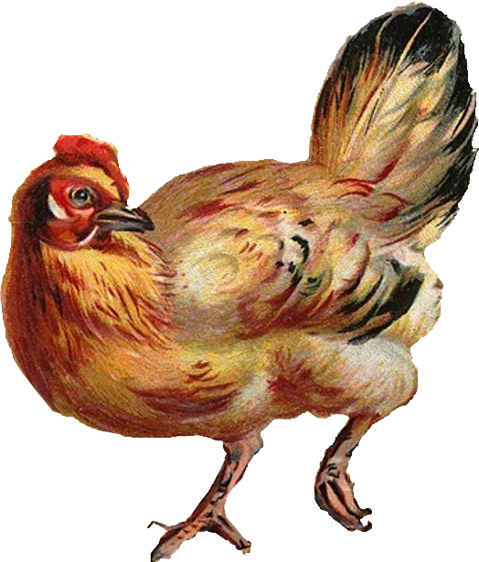 A Few Random Images, Just For Fun - Clip Art (524x615), Png Download