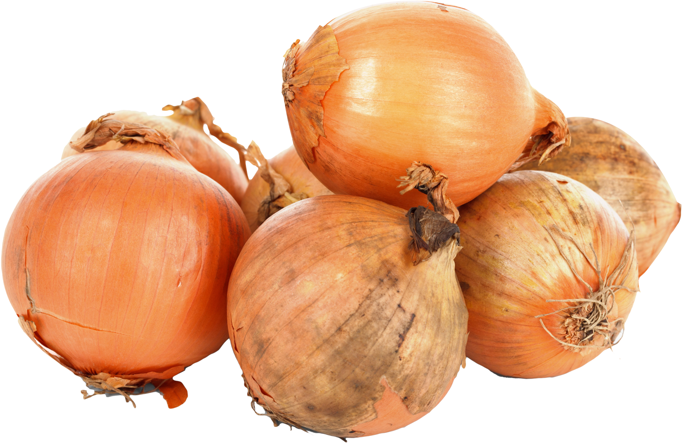 Onions Png (1454x960), Png Download