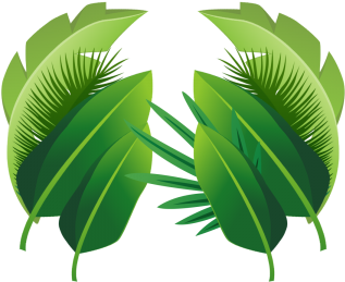 Plant Tropical Leaves, Plant, Tropical, Leaves Png - Planta Tropical Png (360x360), Png Download