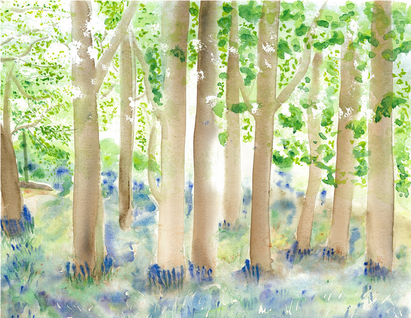 York Place Gallery - Painting (800x800), Png Download