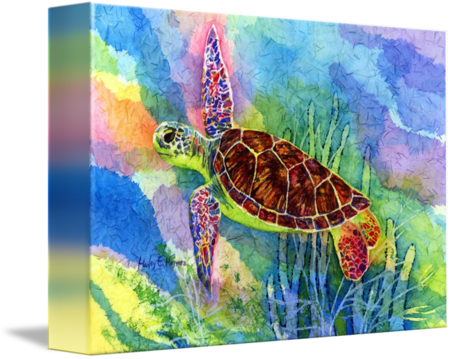 "sea Turtle" By Hailey E - Sea Turtle (650x517), Png Download