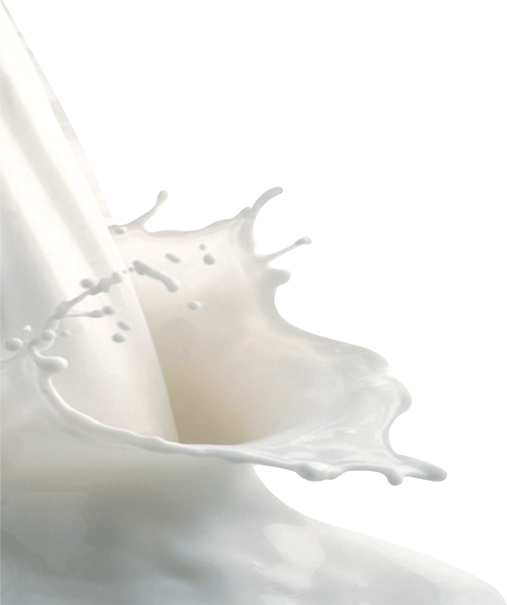 Diapositivas De La Leche (1033x1232), Png Download