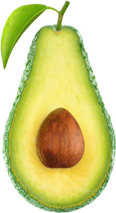 Free Png Avocado Png Images Transparent - Transparent Background Avocado Png (480x742), Png Download