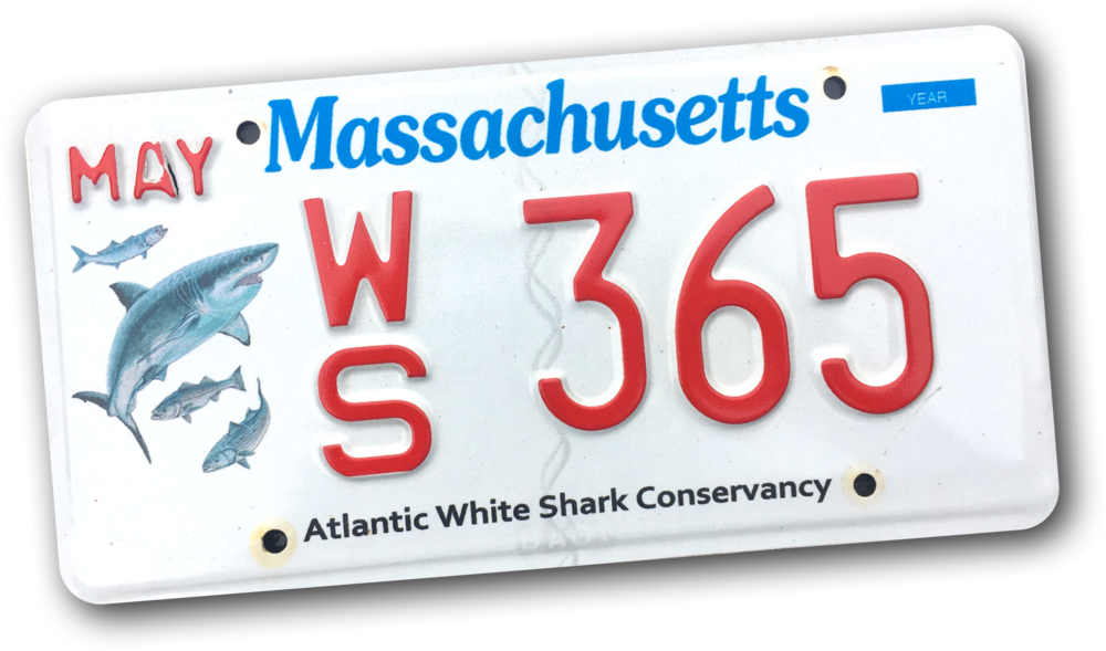 Ws Plate Massachusetts License Plate (1000x589), Png Download