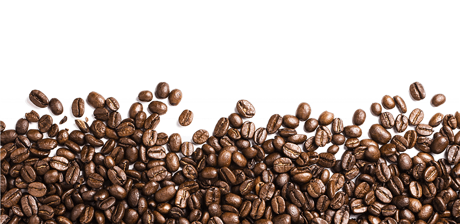 Food - Coffee - Coffee Bean Png Transparent (1600x817), Png Download