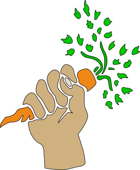 How To Set Use Hand Holding Carrot Clipart (492x596), Png Download