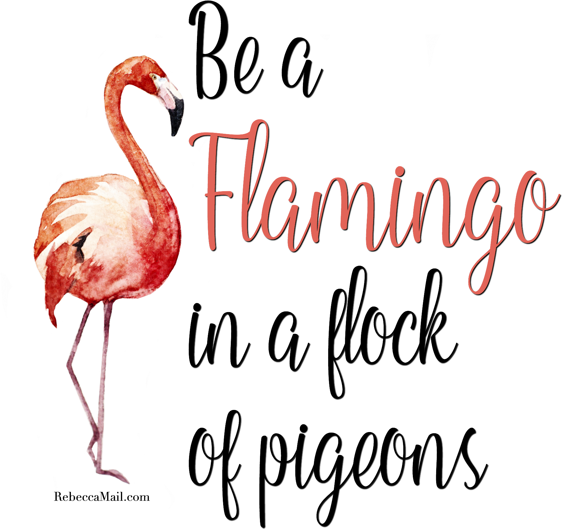 Be A Flamingo In A Flamingo In A Flock Of Pigeons - Flamingo In A Flock Of Pigeons Meaning (2000x2000), Png Download