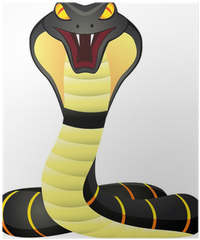Wallmonkeys Wall Decals Wallmonkeys King Cobra Peel (400x400), Png Download