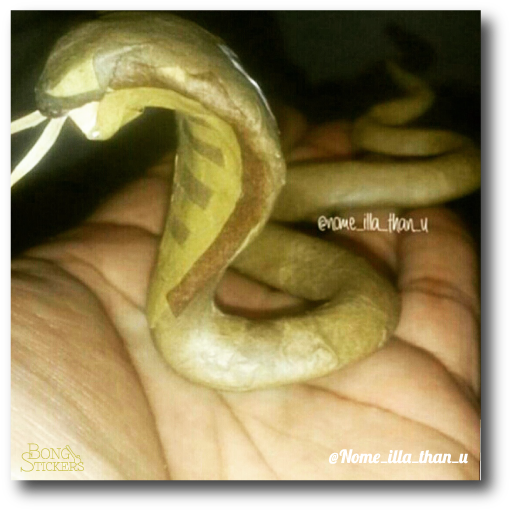King Cobra Shaped Blunt - Serpent (600x600), Png Download