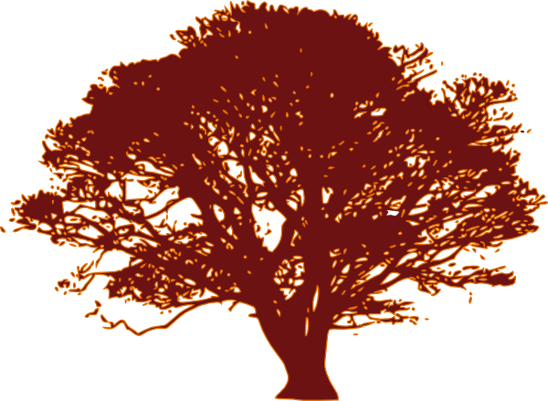 Olive Tree Black And White (600x439), Png Download