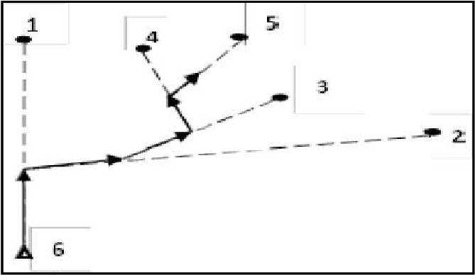 Schematic Diagram That Shows The Zigzag Path That Firefly - Firefly Algorithm (761x392), Png Download