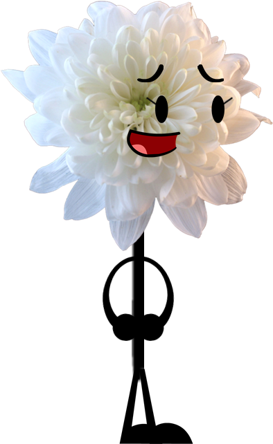 Chrysanthemum Pose - White Chrysanthemum Transparent (402x648), Png Download