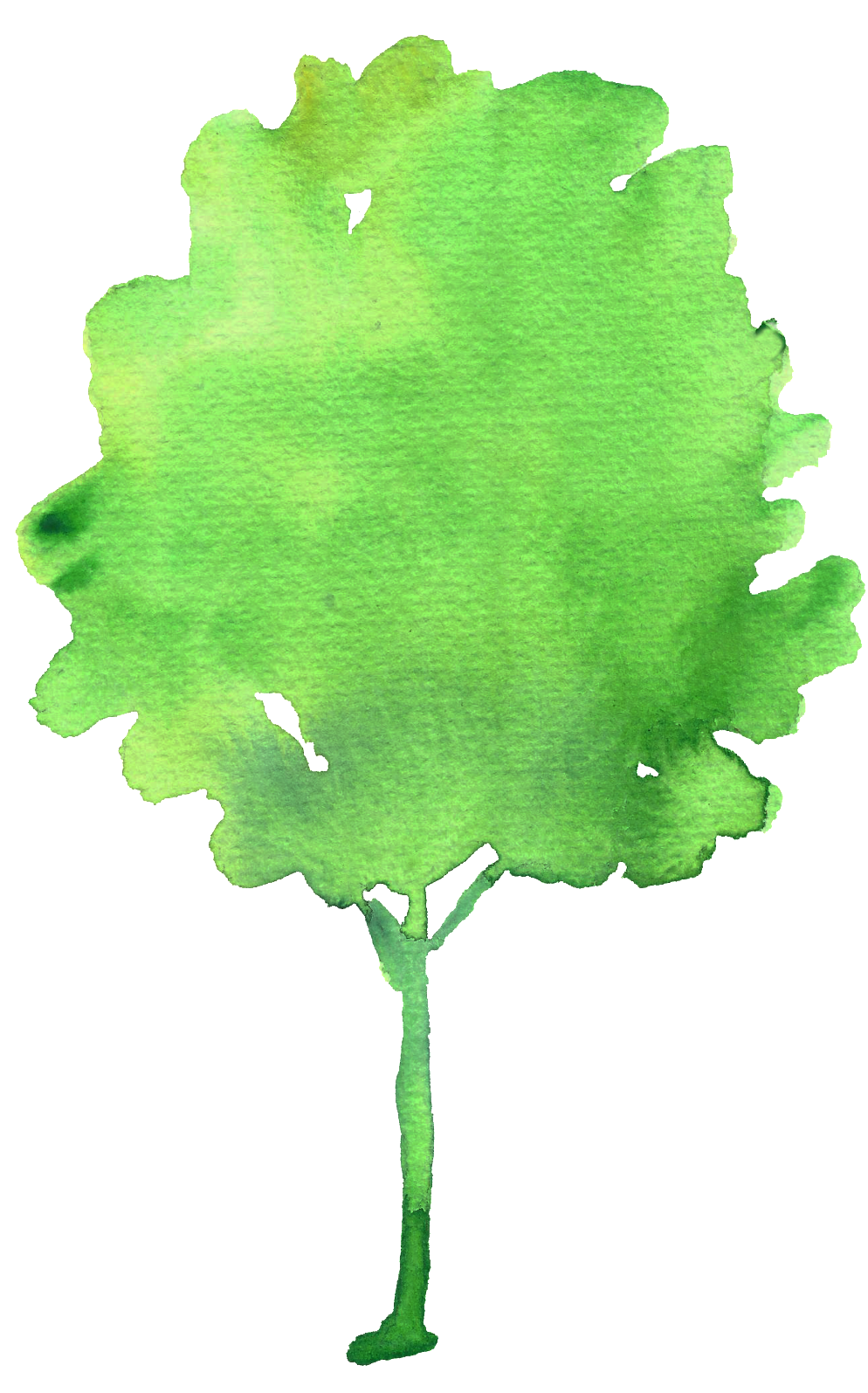 Fresh Hand Painted Big Tree Decoration Vector - Tree (1024x1602), Png Download