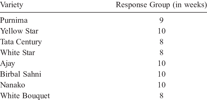 Categorization Of The Different Chrysanthemum Varieties - Copper Slag (688x334), Png Download
