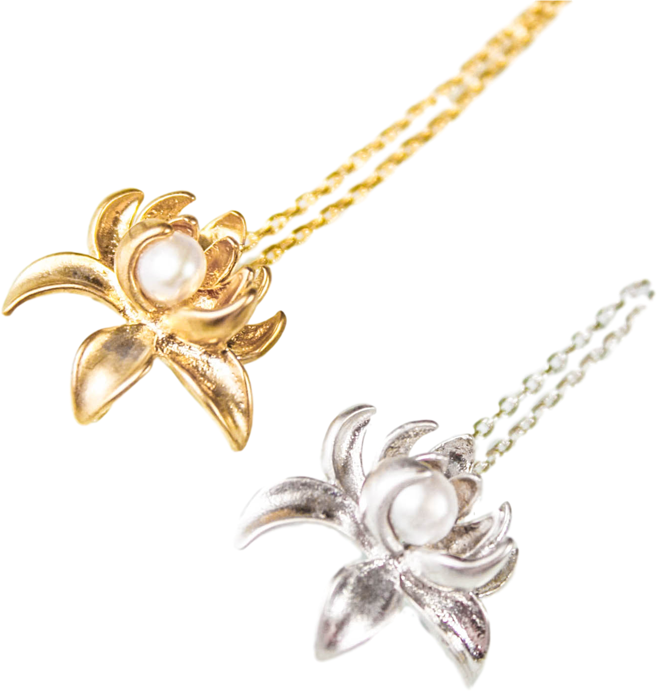 Chrysanthemum Pearl Necklace - Earring (2086x1565), Png Download