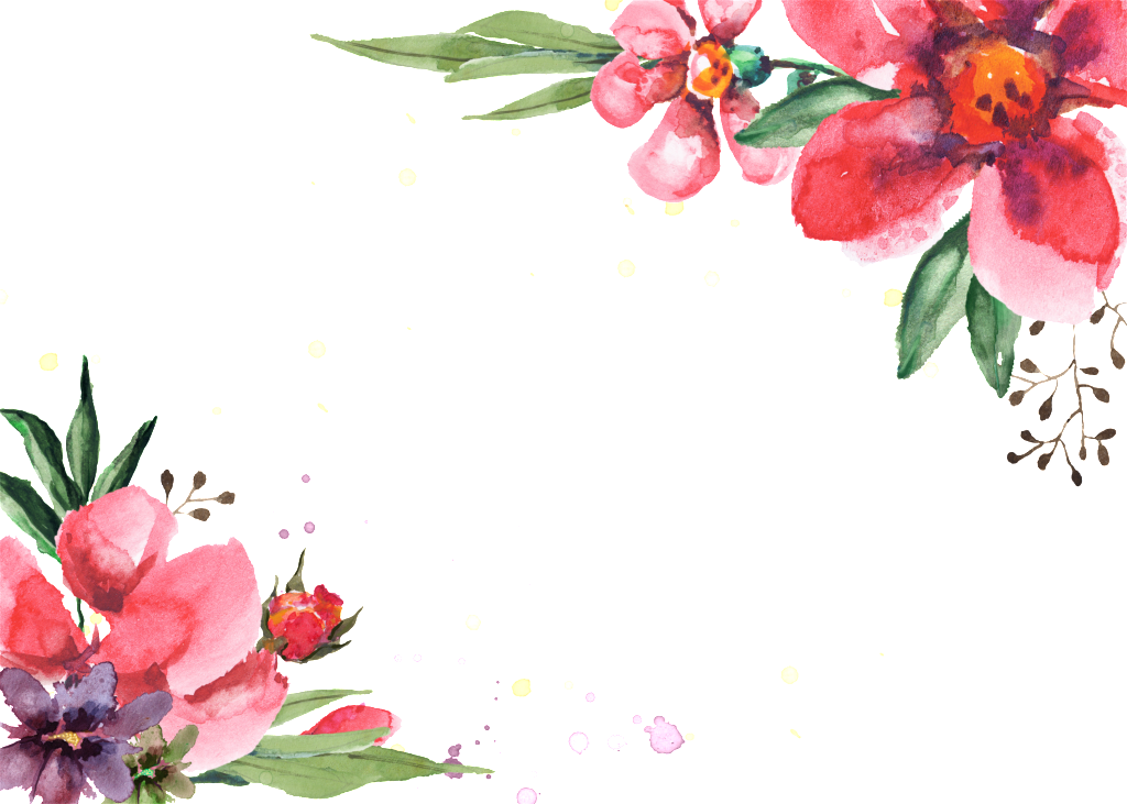 Transparent Ornamental For Symmetrical Flower Bushes - Portable Network Graphics (1024x731), Png Download