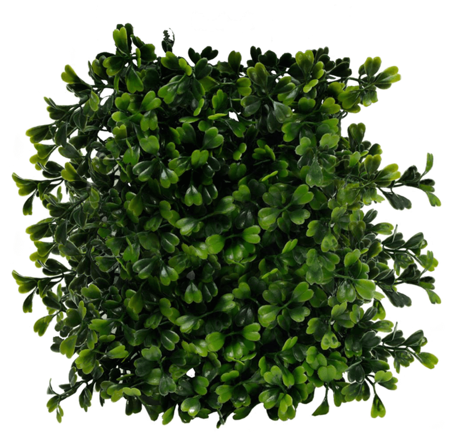 Bushes Png Images Free Download Bush Png Bush Top View Png Full Size Png Download Seekpng