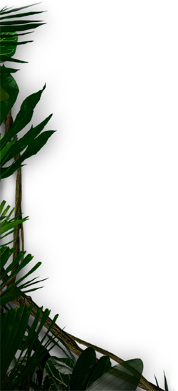 Jumanji 360 Vr Experience - Jumanji: Welcome To The Jungle (250x549), Png Download