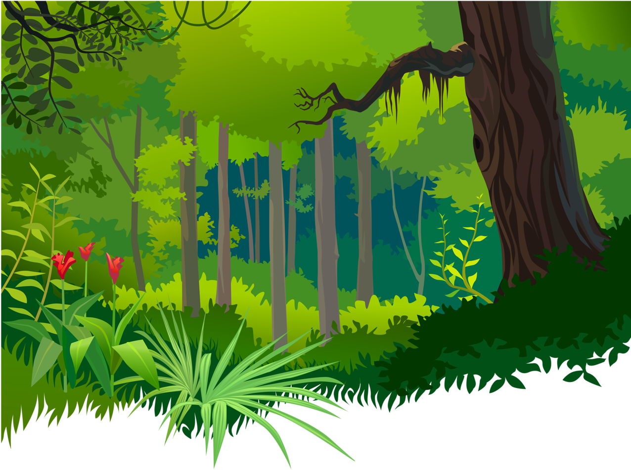 Pin By Thalie Saby On Papier D - Jungle Vectors (1280x996), Png Download