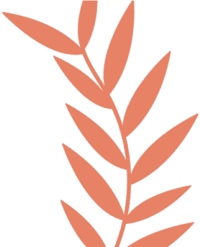 Drawn Leaves Svg - Drawn Leaf Wreath Png (640x480), Png Download