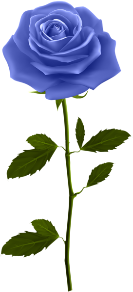 0, - Blue Rose Clip Art (281x600), Png Download