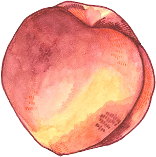 Nectarine - Peach (374x368), Png Download