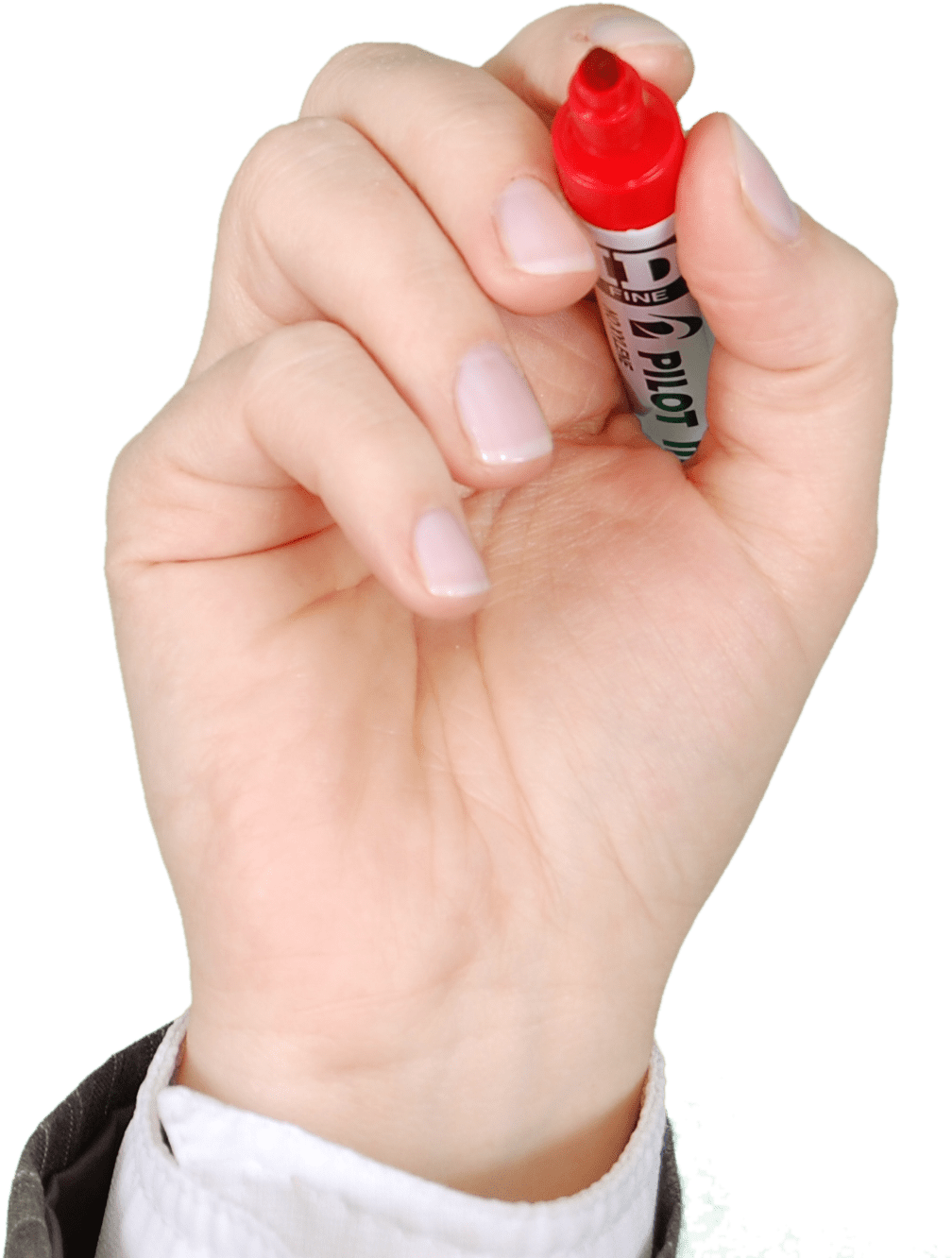 Red-pen - Hand Holding Holding Marker (890x592), Png Download