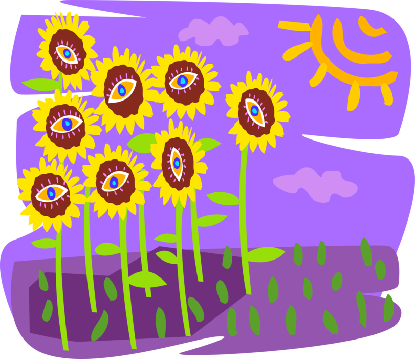 Vector Illustration Of Field Of Sunflowers With Sun - Sunflower (811x700), Png Download