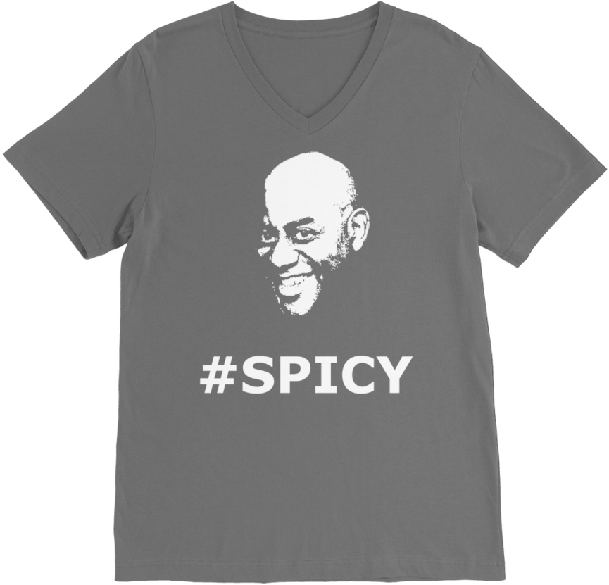 Spicy ﻿premium V Neck T Shirt - Travel Eat Repeat Shirt (900x900), Png Download