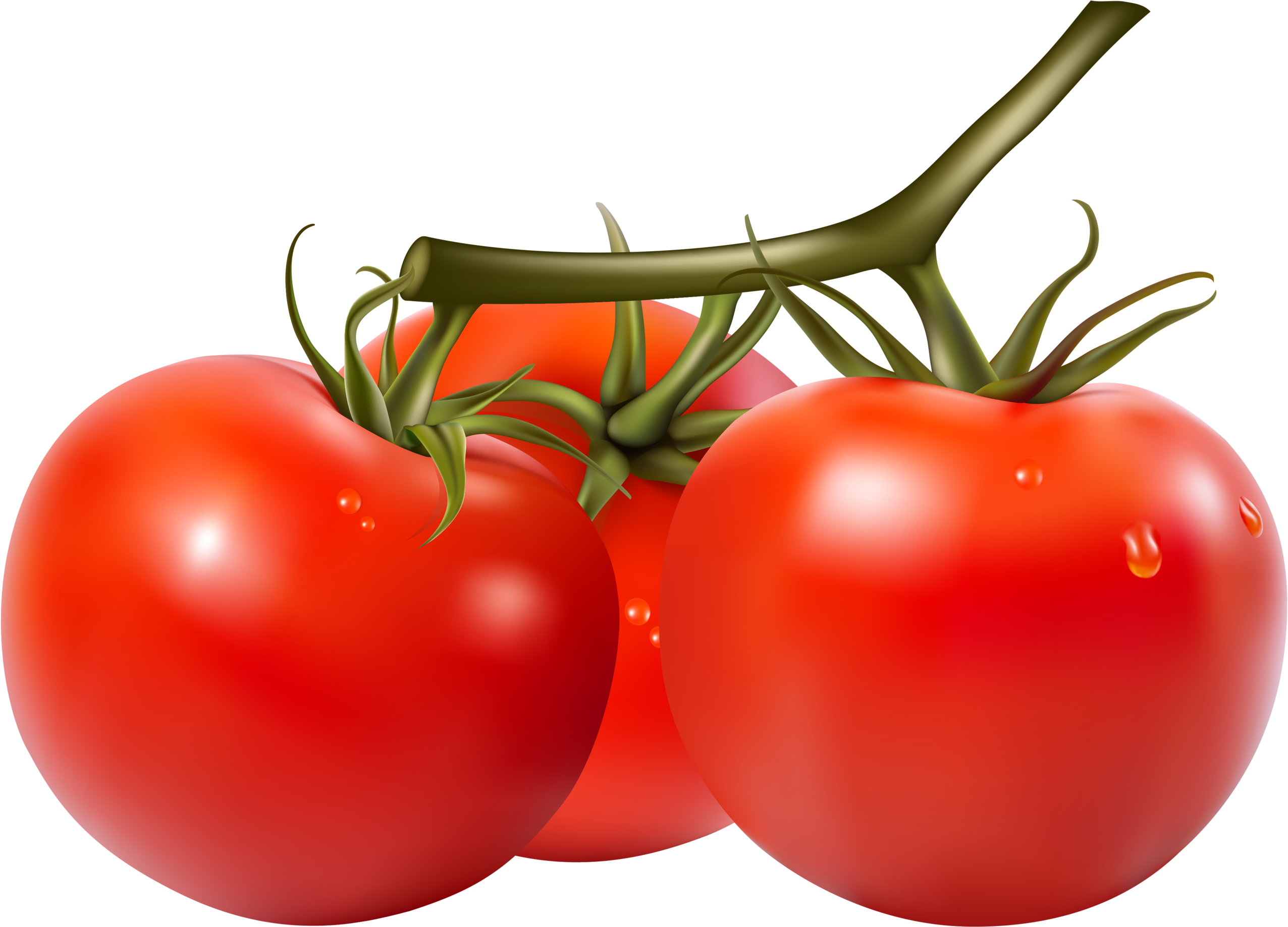 Яндекс - Фотки - Tomatoes Clipart Png (2560x1837), Png Download