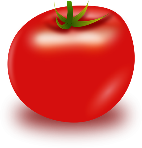 Tomato Clipart Black And White - Clipart Tomato (500x489), Png Download