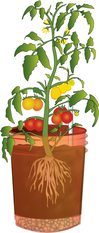 You Will Leave With A Recycled Bucket Containing A - Container Garden (364x828), Png Download